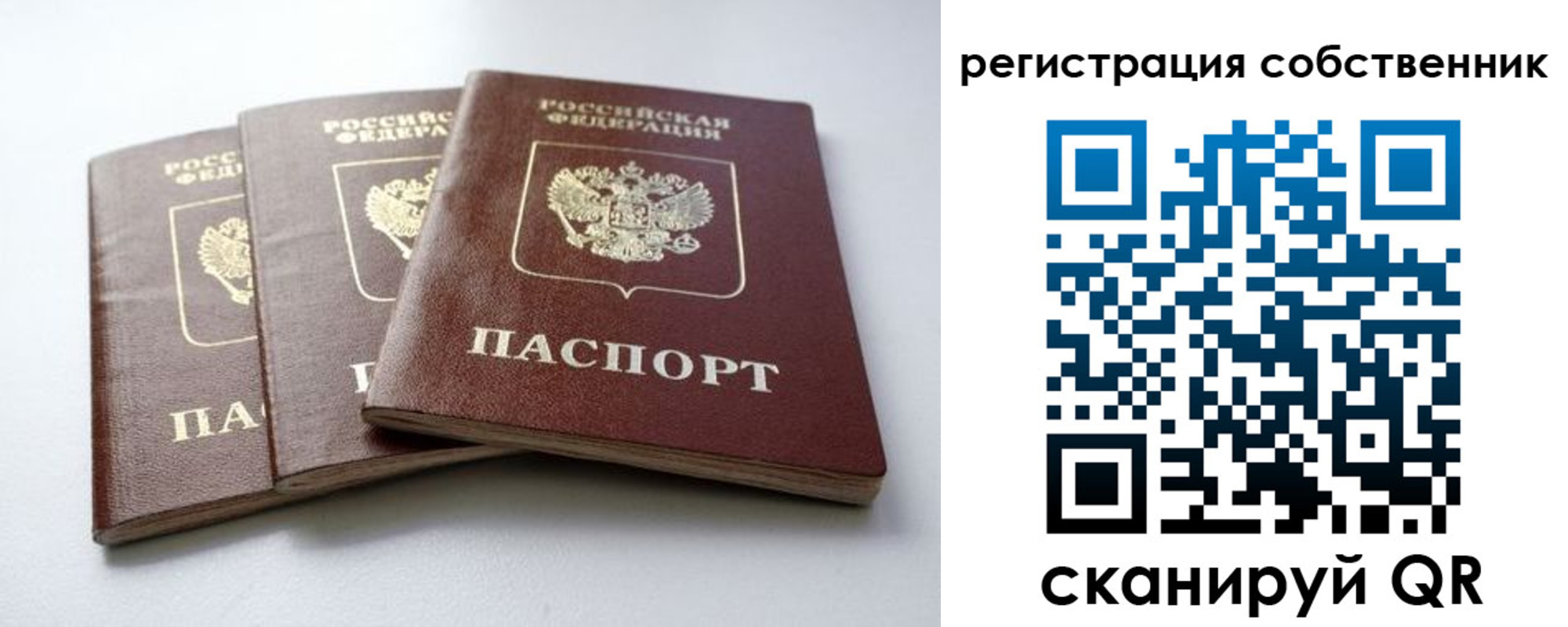 прописка для школы в Шали